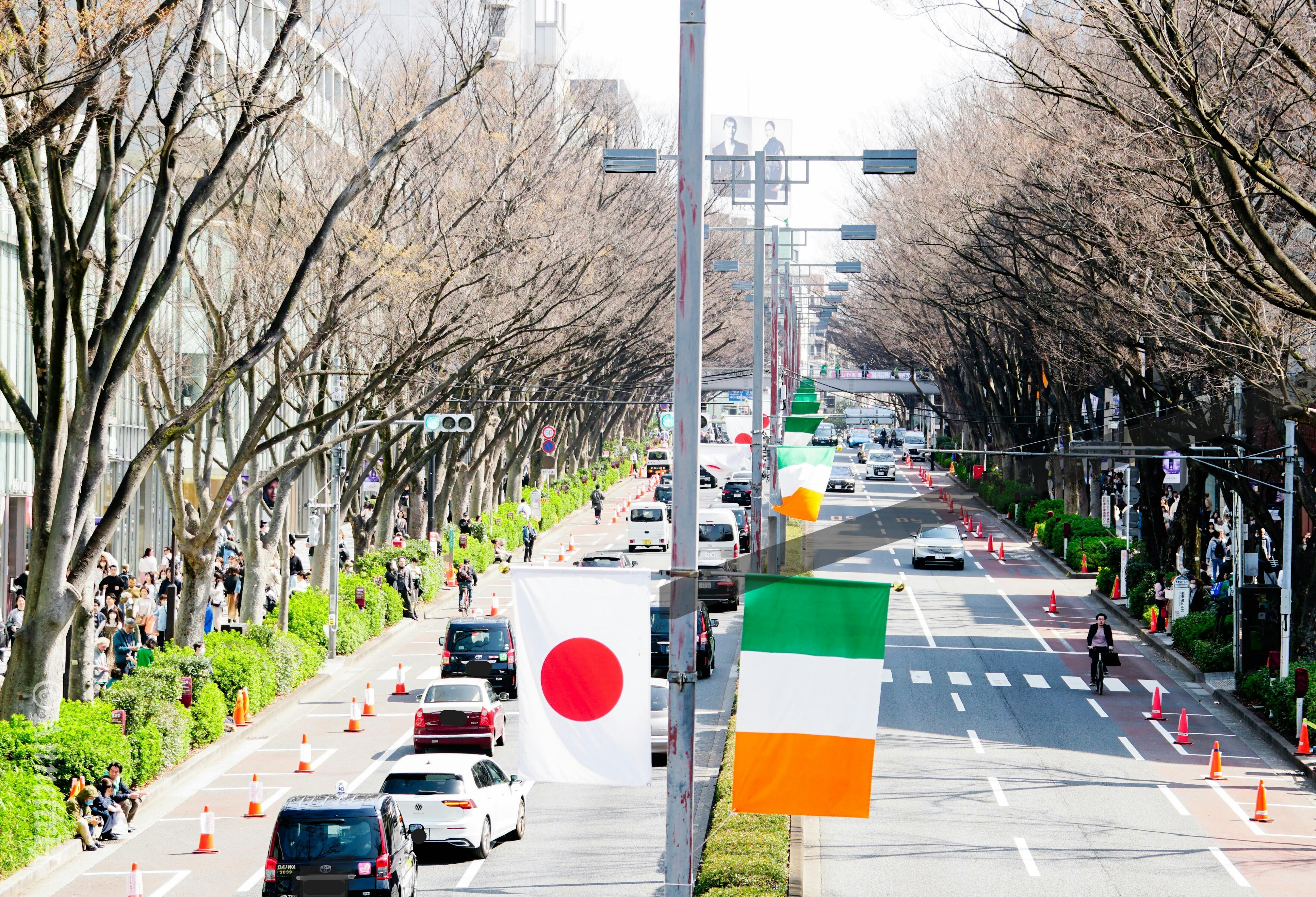 アイルランドと日本の国旗が並ぶ、けやき並木