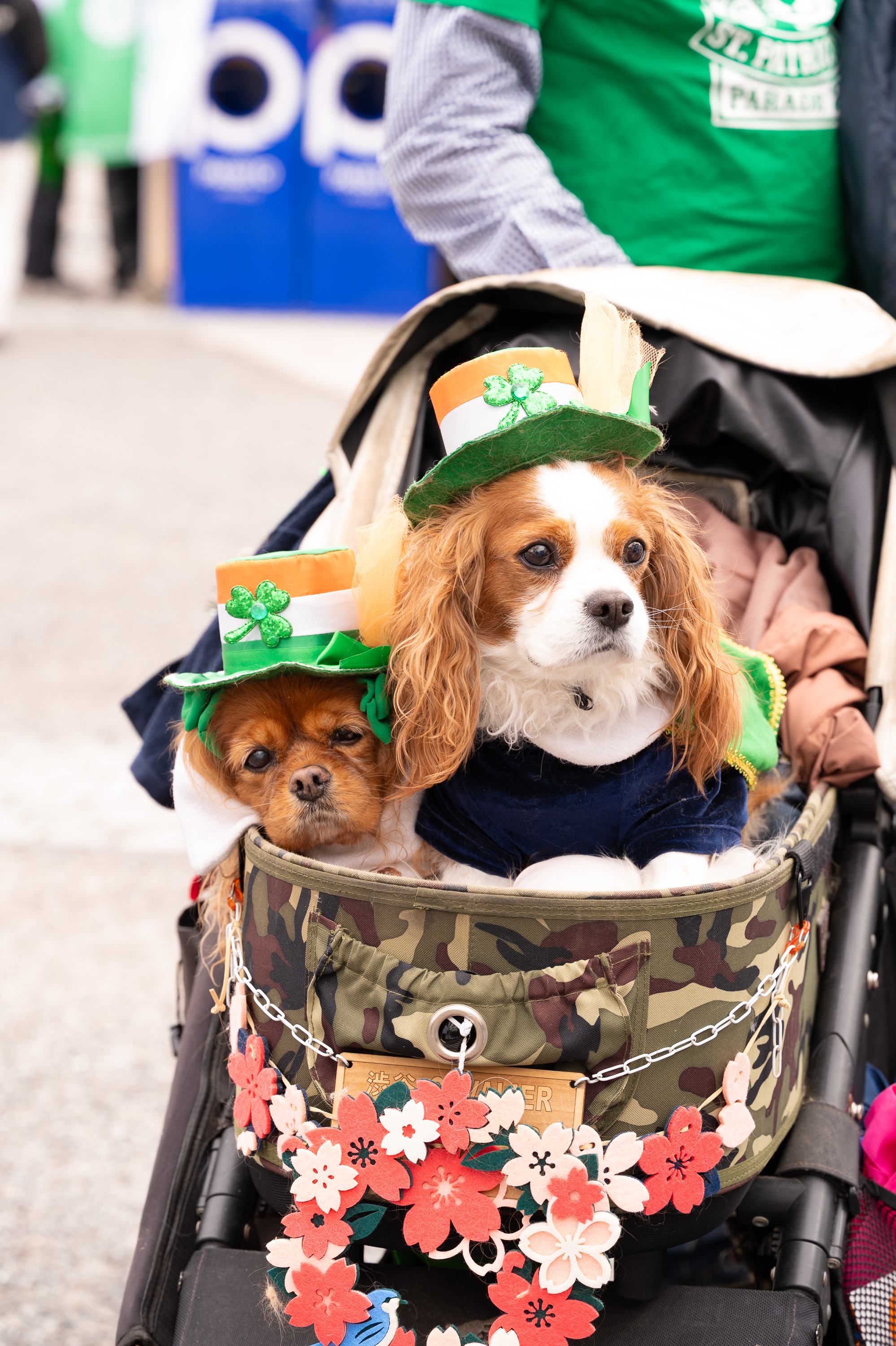 セントパトリックスデーを楽しむ来場者